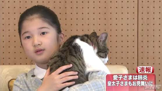 愛子さま、2週間欠席続く=体調不良、宮内庁病院で診察