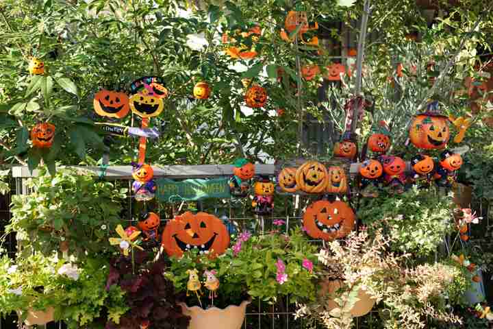 【画像】ハロウィン仕様の商品