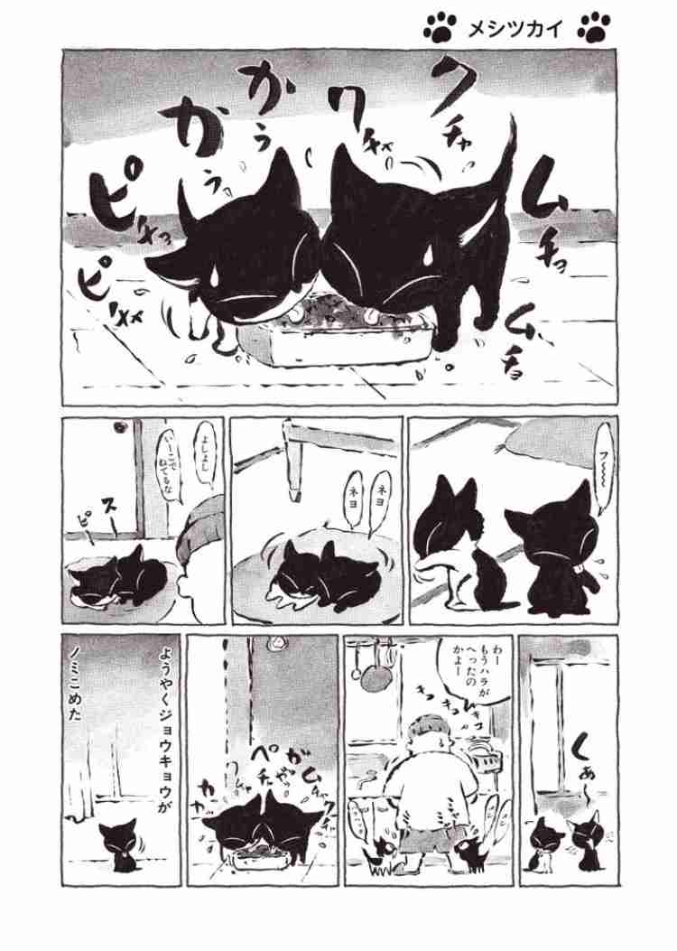 大当たり作品多し！ 癒されるかわいいネコの漫画10選
