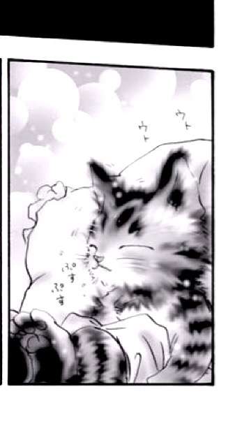 大当たり作品多し！ 癒されるかわいいネコの漫画10選