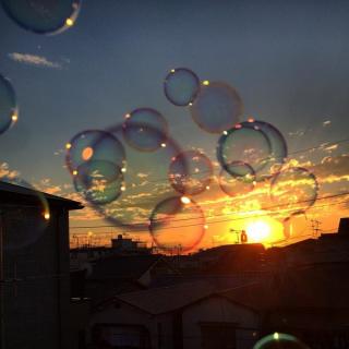 儚い雰囲気の画像