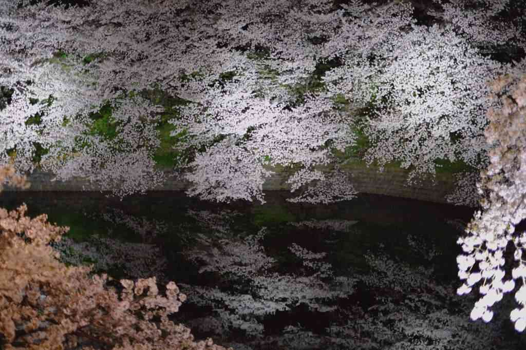 儚い雰囲気の画像