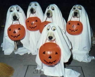 【子供か動物限定】ハロウィンのかわいいコスプレ画像を集めよう。