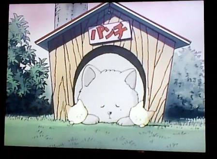 犬のしつけのこつ
