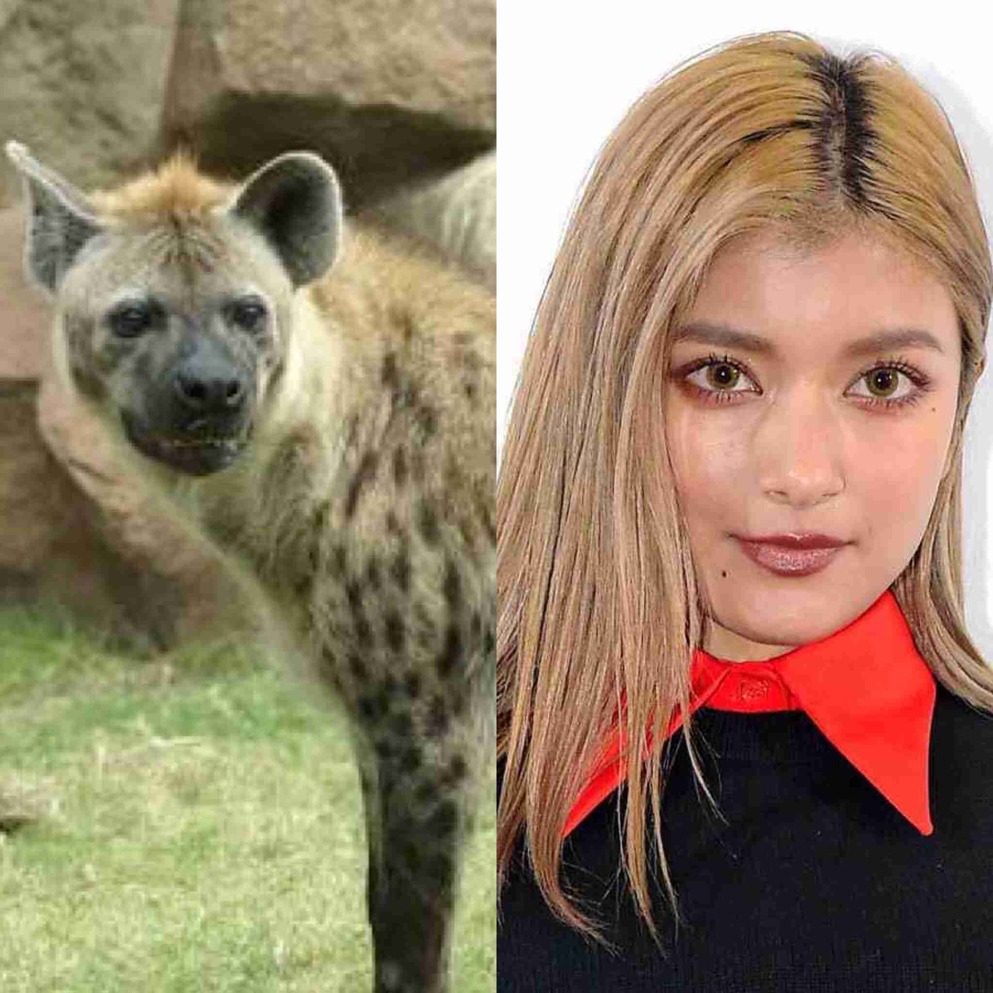 ローラ、初の料理コーナーで意外な?腕前披露「豆乳を投入します。ウフフ」