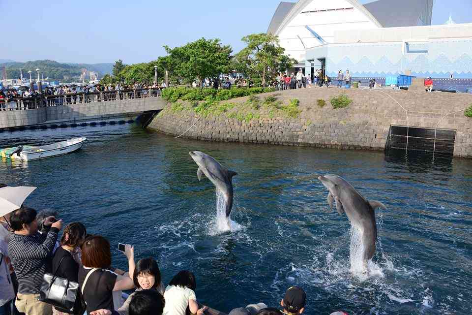 ♪鹿児島のオススメ♪