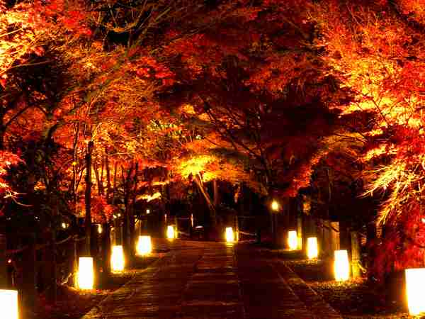 夜デートのおすすめ