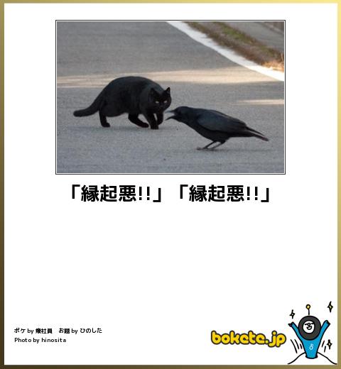 ボケて！で笑った動物編
