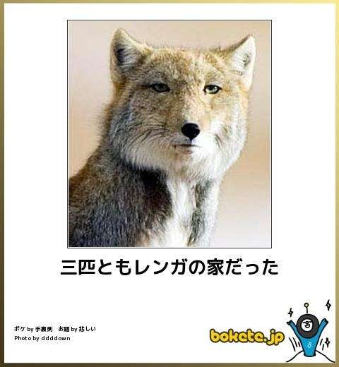 ボケて！で笑った動物編