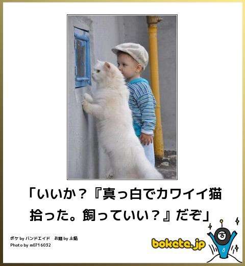 ボケて！で笑った動物編