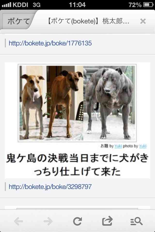 ボケて！で笑った動物編