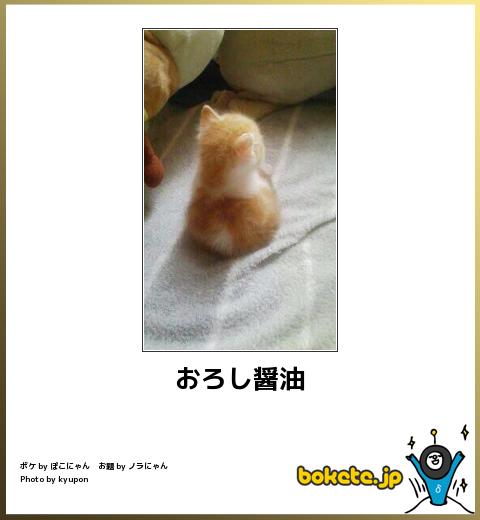 ボケて！で笑った動物編