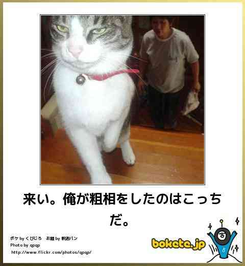ボケて！で笑った動物編