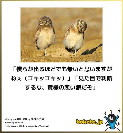 ボケて！で笑った動物編