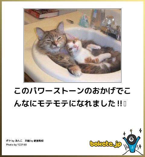 ボケて！で笑った動物編