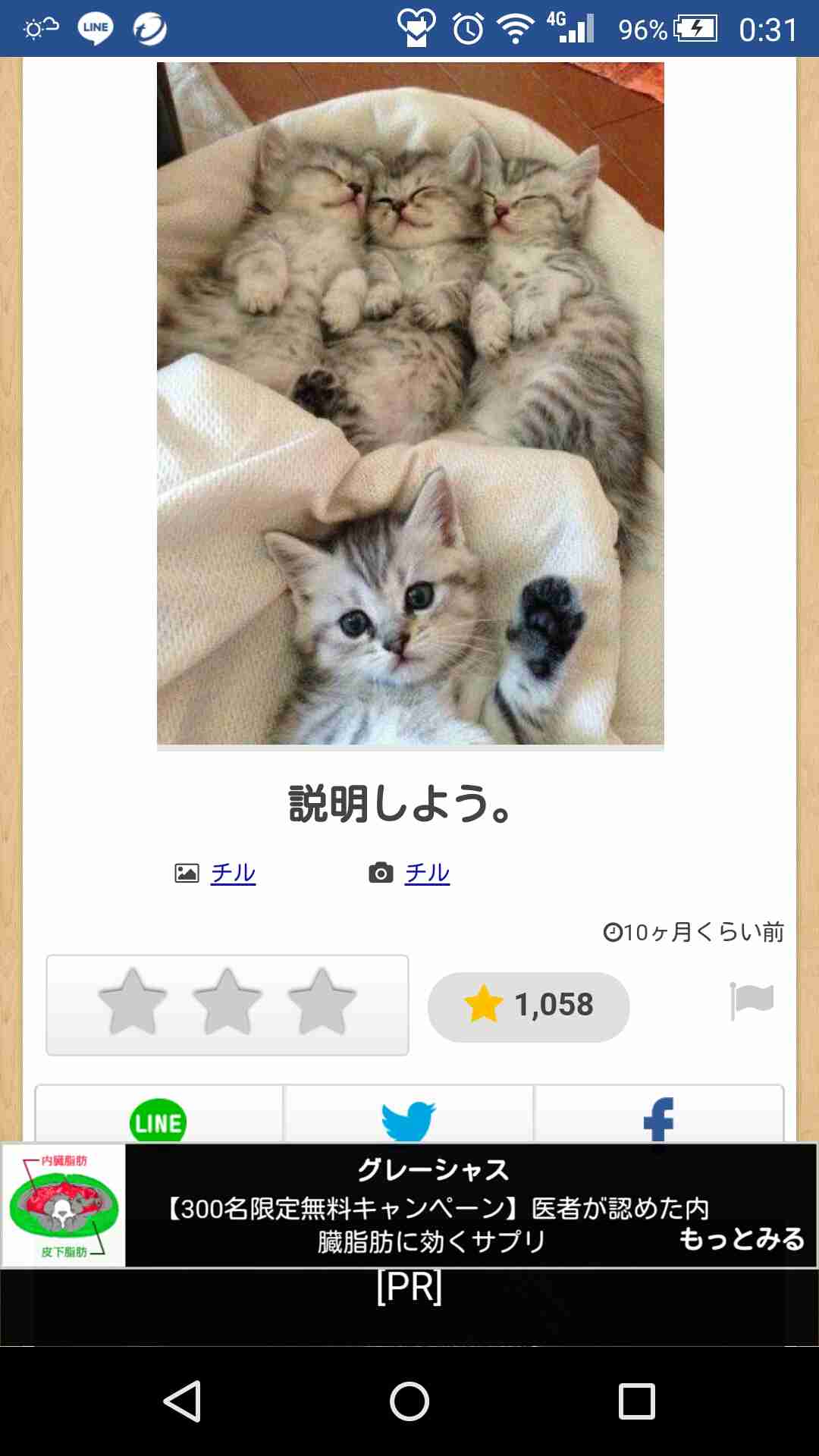 ボケて！で笑った動物編