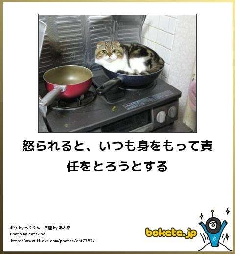 ボケて！で笑った動物編