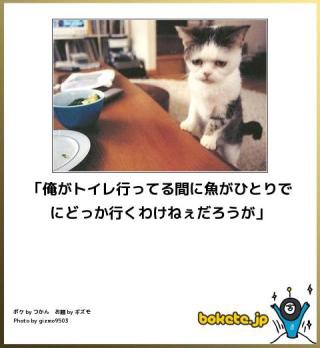 ボケて！で笑った動物編