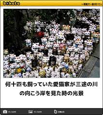 ボケて！で笑った動物編