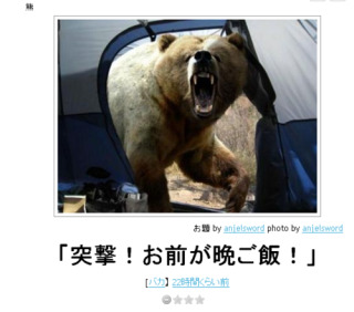ボケて！で笑った動物編