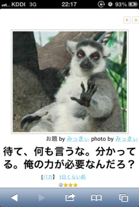 ボケて！で笑った動物編