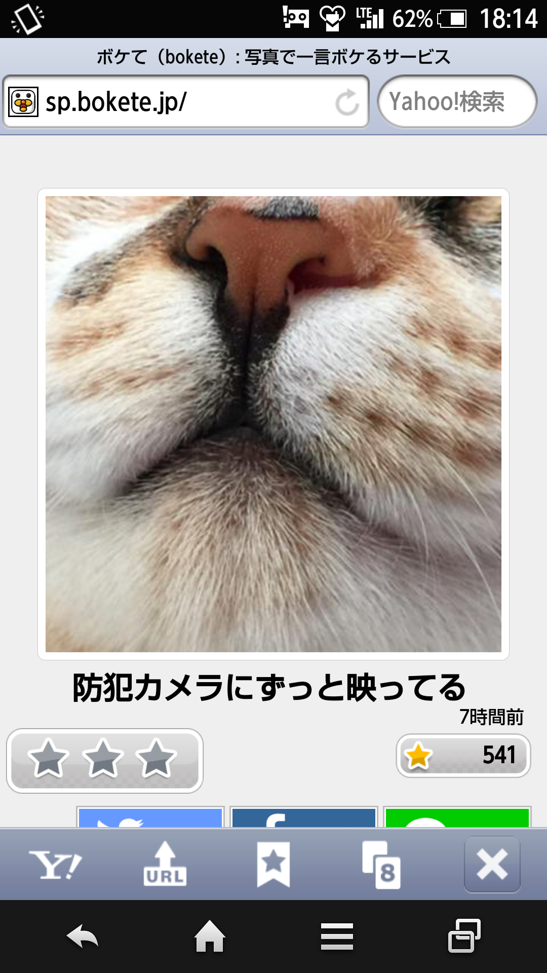 ボケて！で笑った動物編