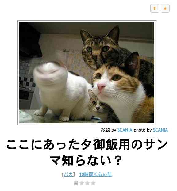 ボケて！で笑った動物編