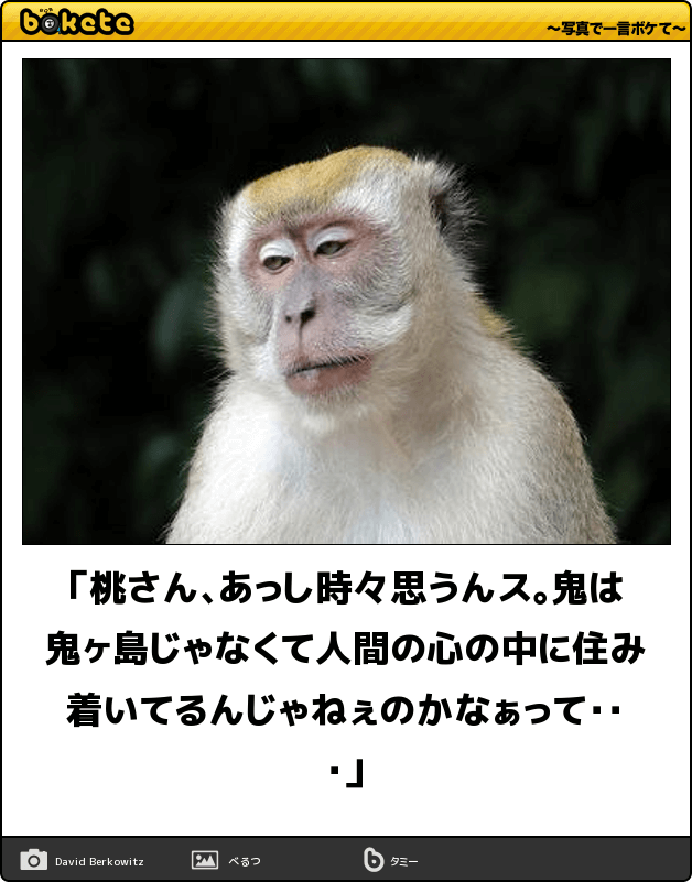 ボケて！で笑った動物編
