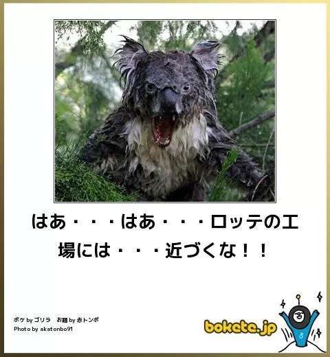 ボケて！で笑った動物編