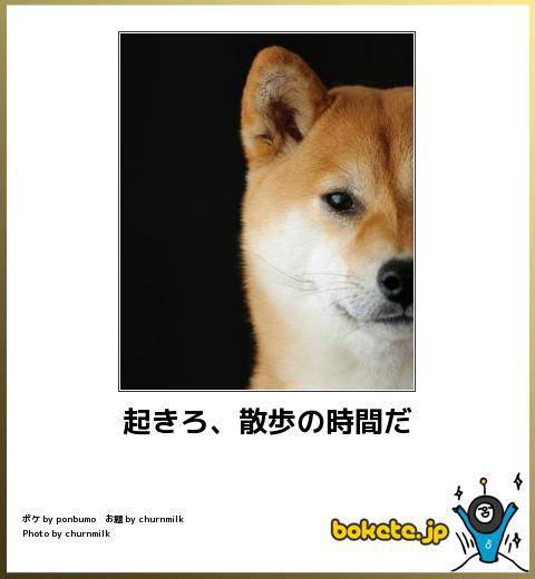 ボケて！で笑った動物編