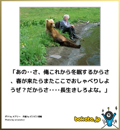 ボケて！で笑った動物編