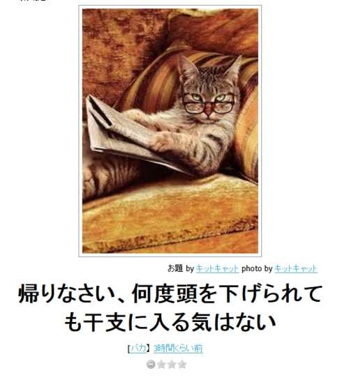 ボケて！で笑った動物編