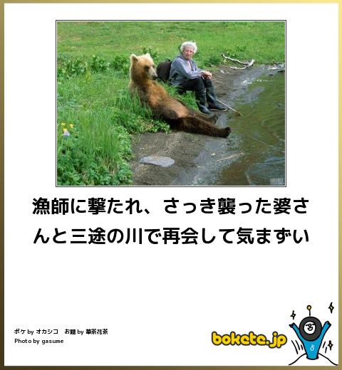 ボケて！で笑った動物編