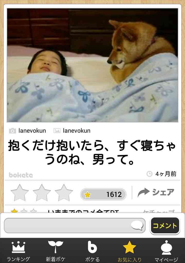 ボケて！で笑った動物編