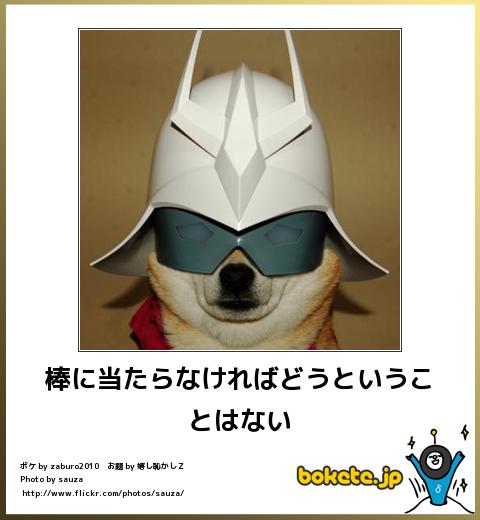 ボケて！で笑った動物編