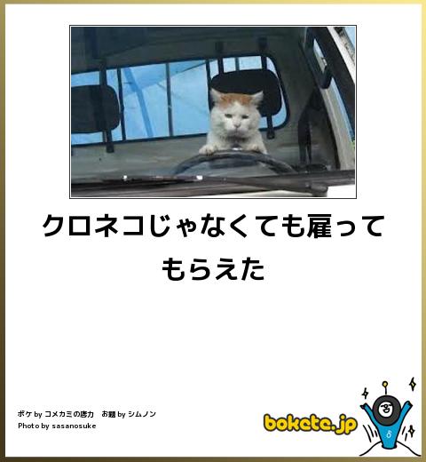 ボケて！で笑った動物編