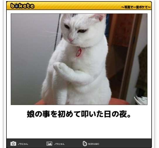 ボケて！で笑った動物編