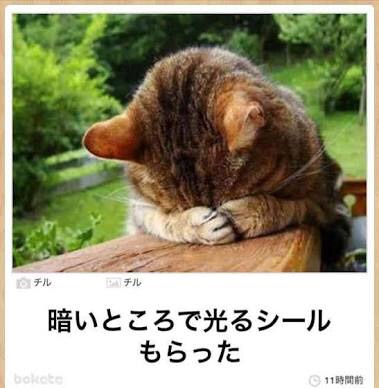 ボケて！で笑った動物編