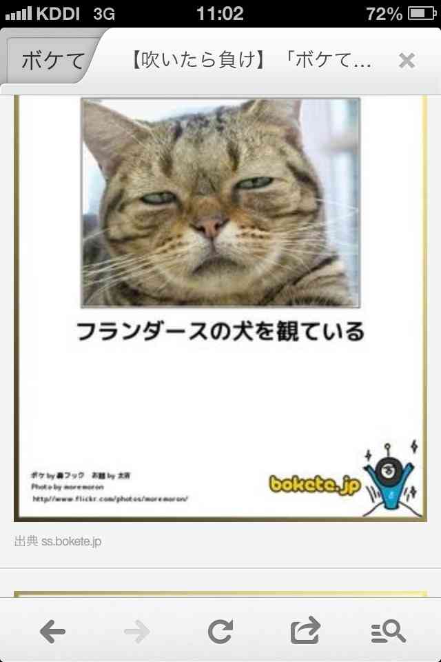 ボケて！で笑った動物編