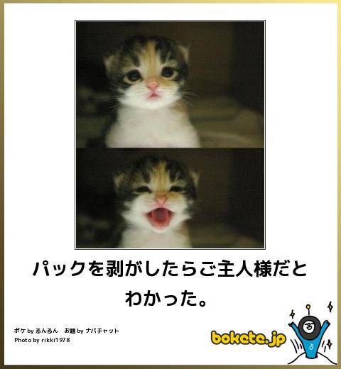 ボケて！で笑った動物編