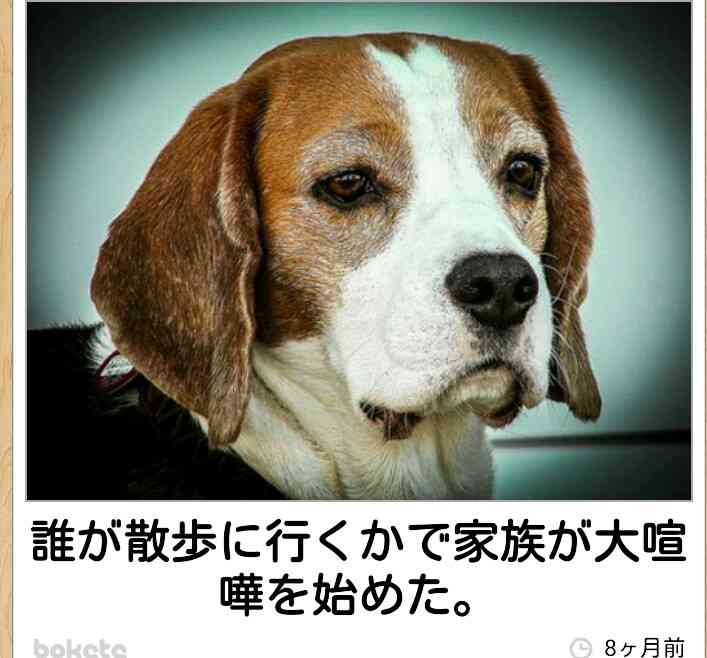 ボケて！で笑った動物編