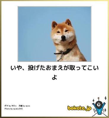 ボケて！で笑った動物編
