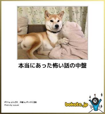 ボケて！で笑った動物編