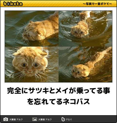 ボケて！で笑った動物編