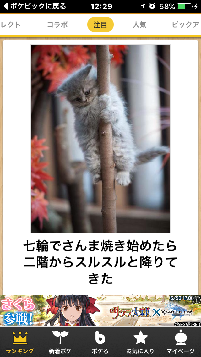 ボケて！で笑った動物編