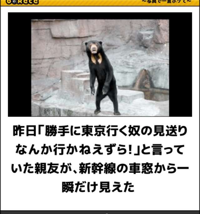 ボケて！で笑った動物編