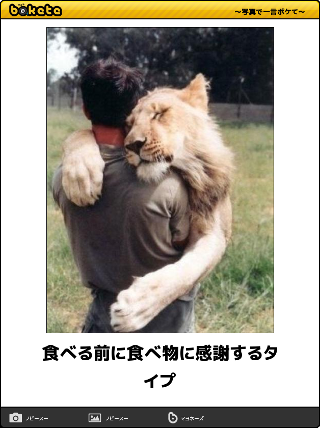 ボケて！で笑った動物編