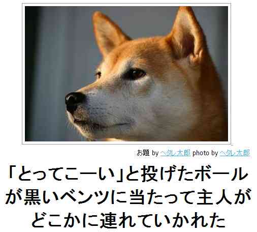 ボケて！で笑った動物編