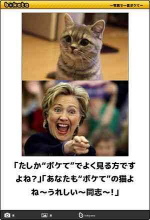 ボケて！で笑った動物編