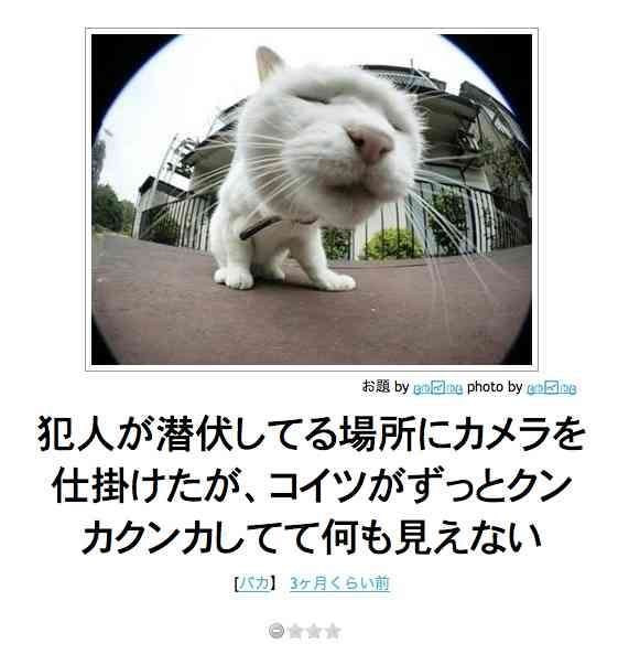 ボケて！で笑った動物編